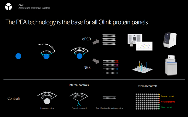 Olink proteomics – NXTGNT Ghent University sequencing core facility