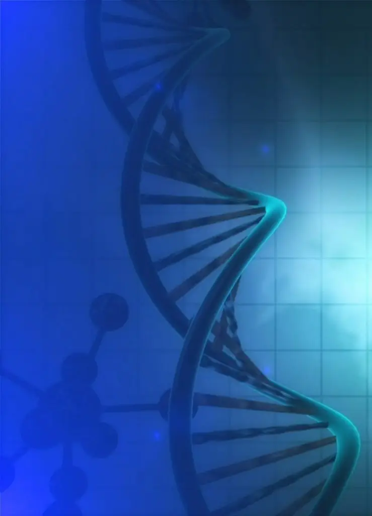 Chemical modifications DNA